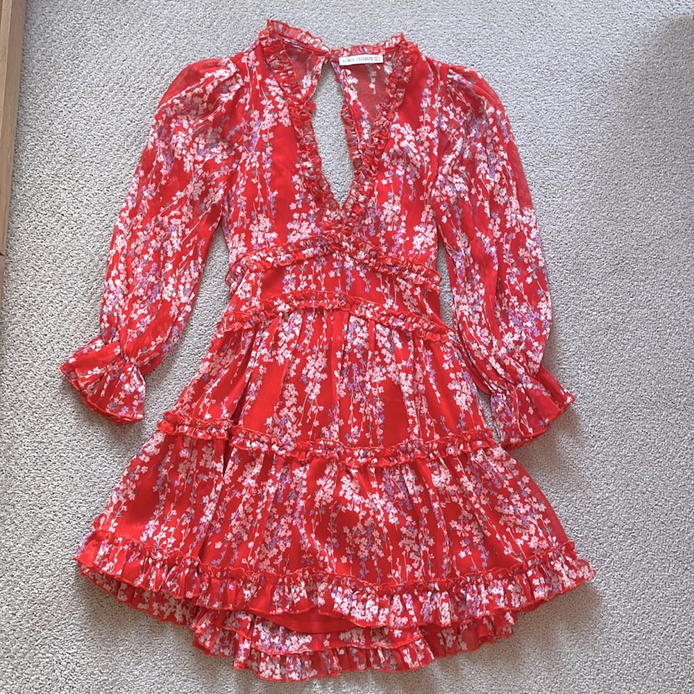 Saint and Secrets Red Floral Cocktail Dress, Size Small